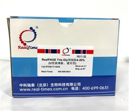 12%RealPAGE Tris-Glycine預制膠（塑料板） 15孔